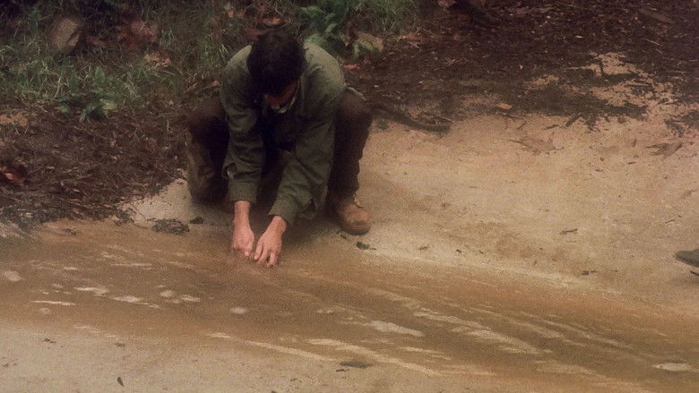 Gallery image from sLn59LSLRQeZS2TC6vdK6UskLg2.jpg