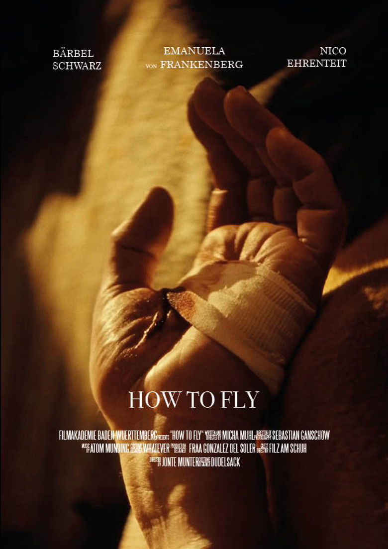 Imatge de How to Fly