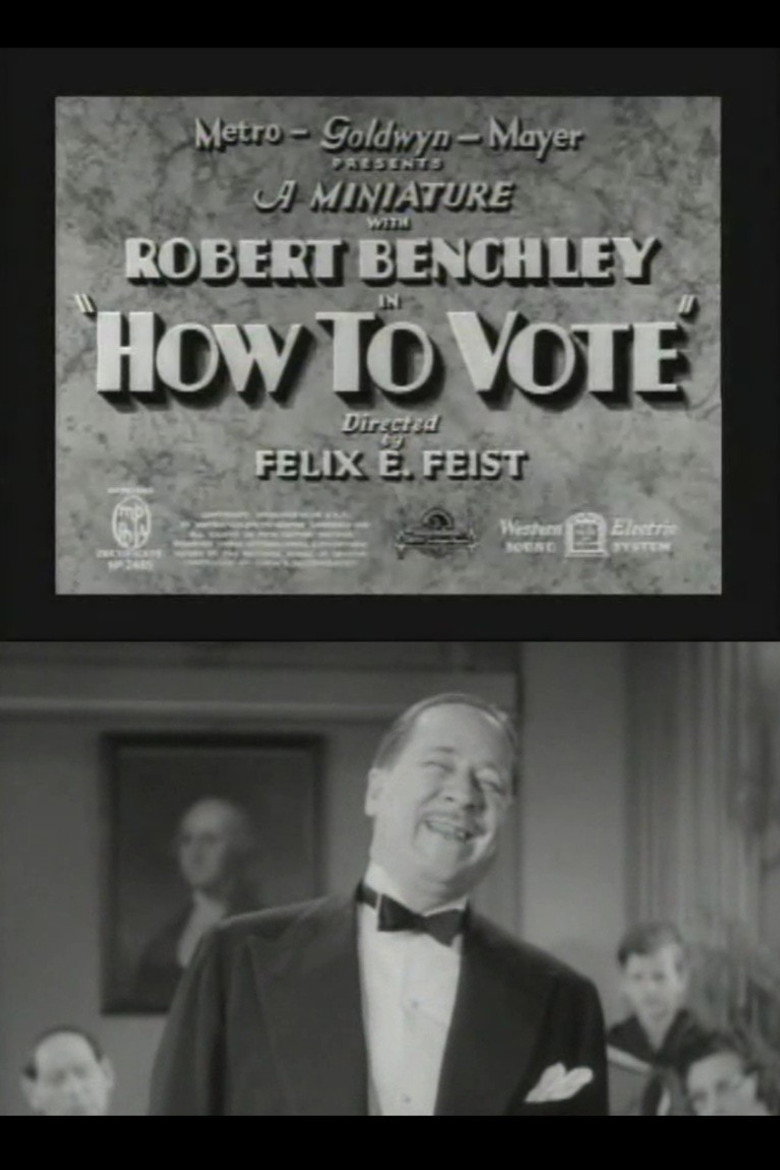 How to Vote poster