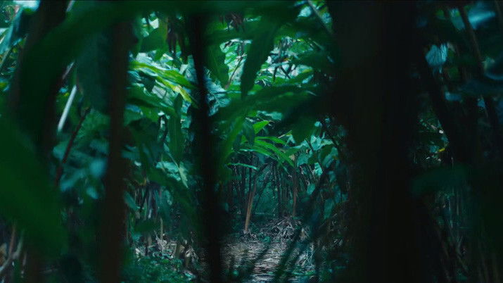 Still image for Candle in the Tomb: The Worm Valley season 1 episode 5: Episode 5 Still image for Candle in the Tomb: The Worm Valley season 1 episode 5: Episode 5