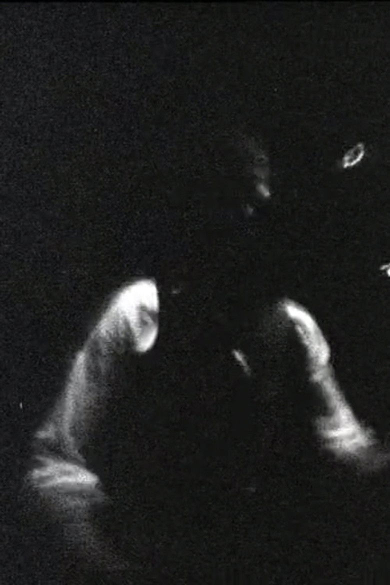 Imatge de Blonde Redhead Meets Gainsbourg – Spring & by Summer Fall