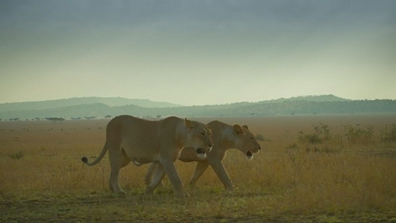 Still image for 森林女王 season 1 episode 3: Episode 3
