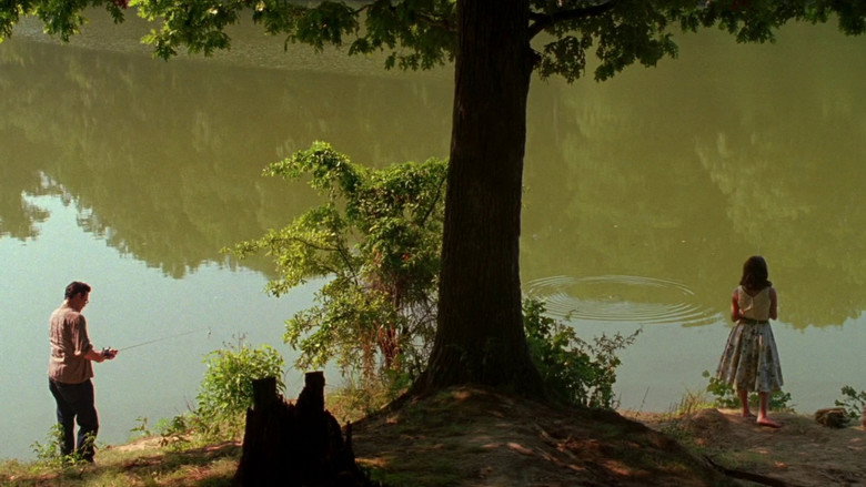 Film backdrop