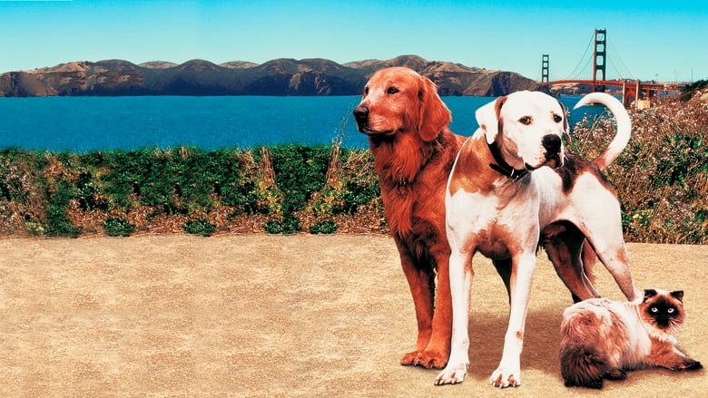 Homeward Bound II: Lost in San Francisco movie poster