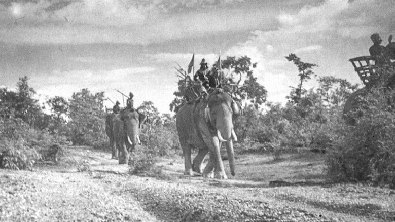 Imatge de พระเจ้าช้างเผือก