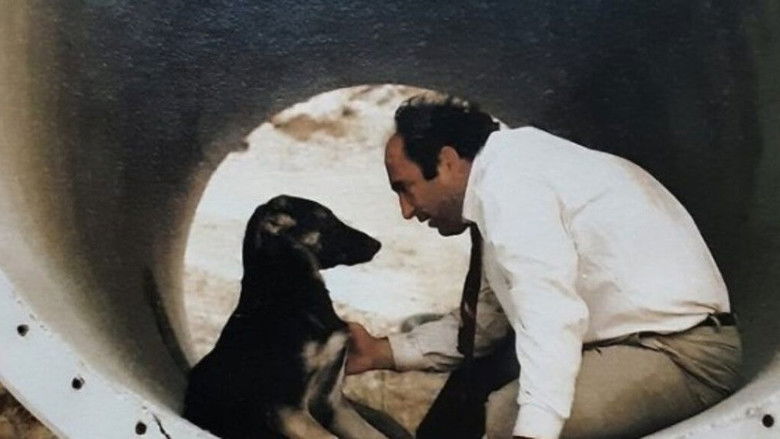 Imatge de Tommaso Blu