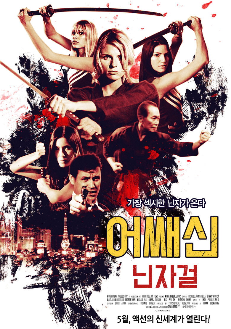 어쌔신: 닌자걸(Ninja Cheerleaders) poster