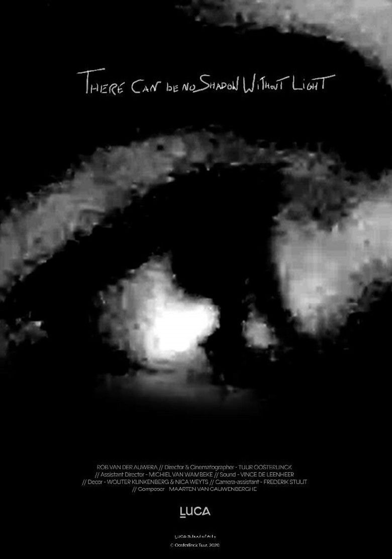 Imatge de There can be no Shadow Without Light