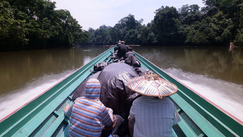 Still image for Fish or Die season 1 episode 4: Don't Lose Your Head