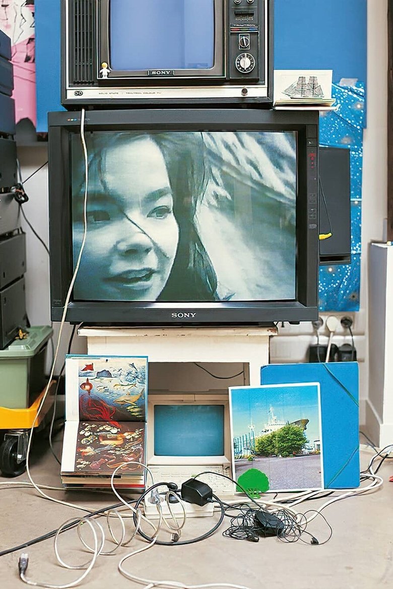 Björk: Vessel 1994 main poster