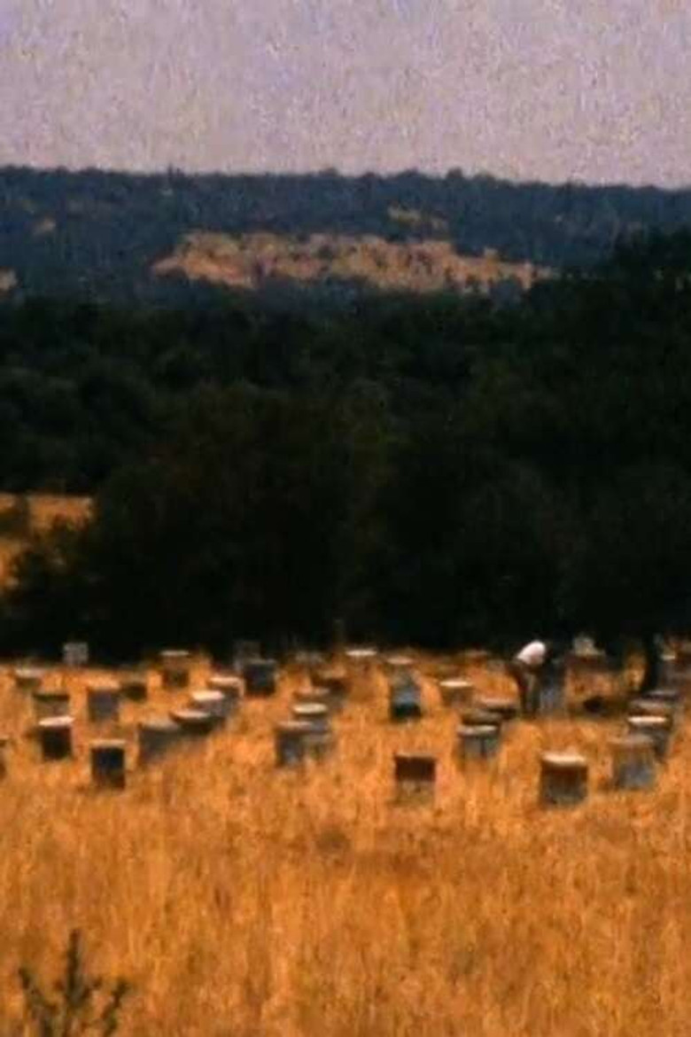 Imatge de The Answering Furrow