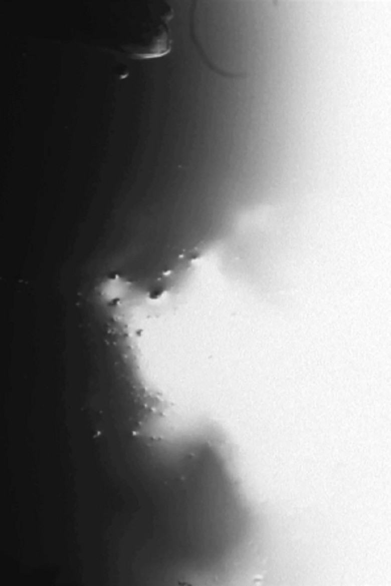 Imatge de Physical Responses