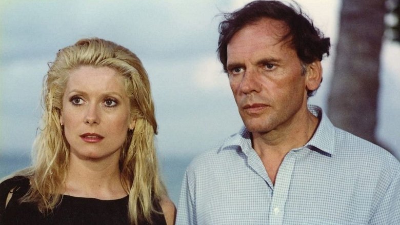 Gallery image from sPNXavyRCdO9THYqq5kJmOy2rIY.jpg