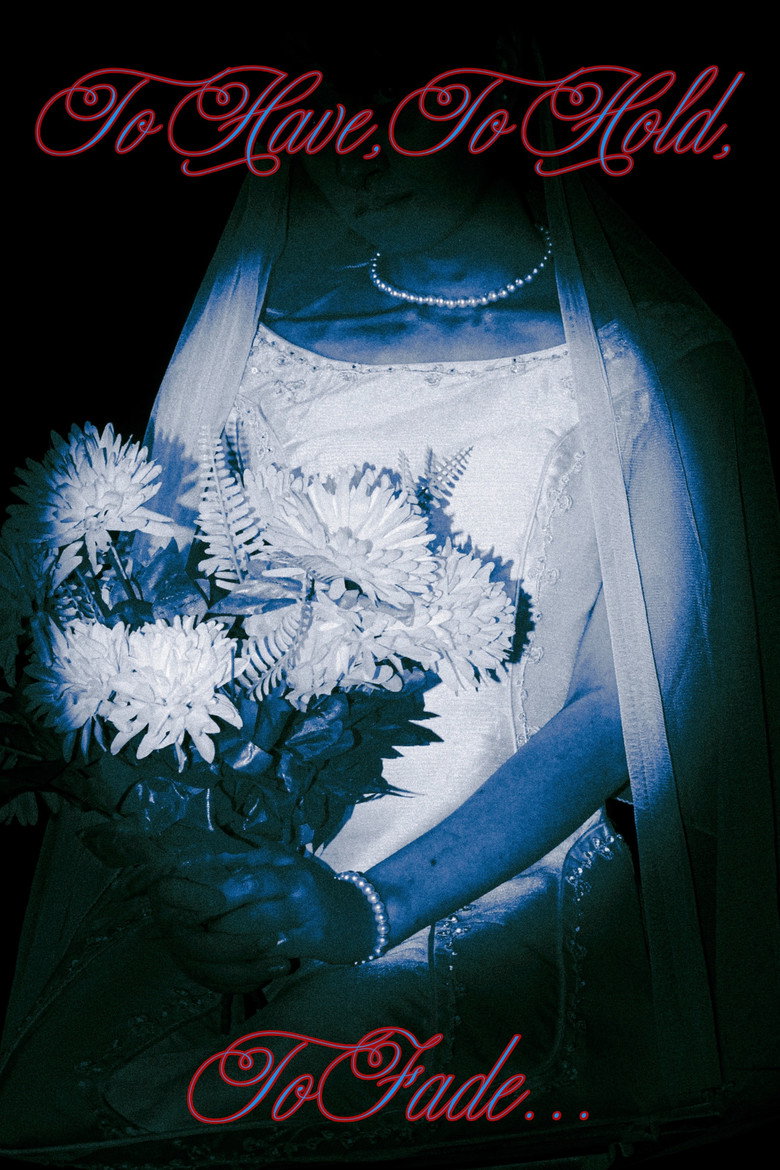 Imatge de To Have, To Hold, To Fade…