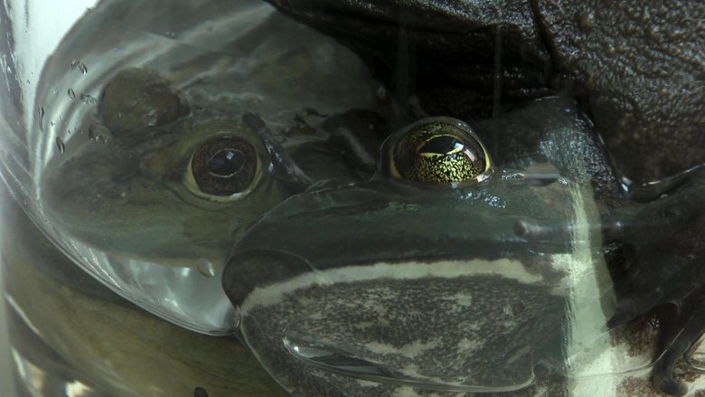 Gallery image from sPPdS1oGLd3tpuCvotsKlTIjOI5.jpg