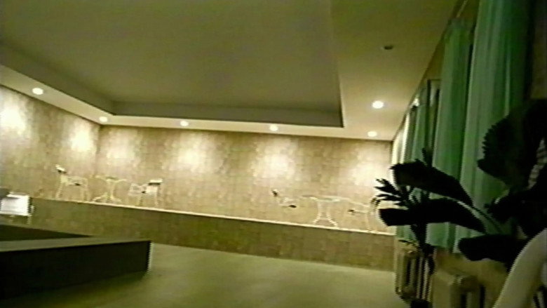 Backrooms backdrop 52