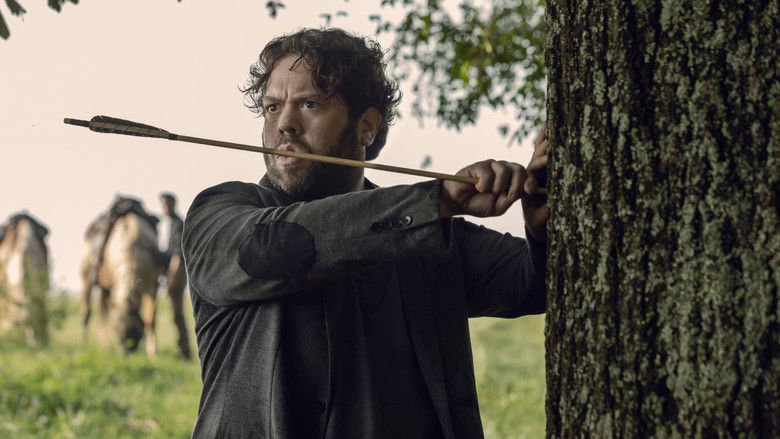 The Walking Dead Saison 9 Streaming