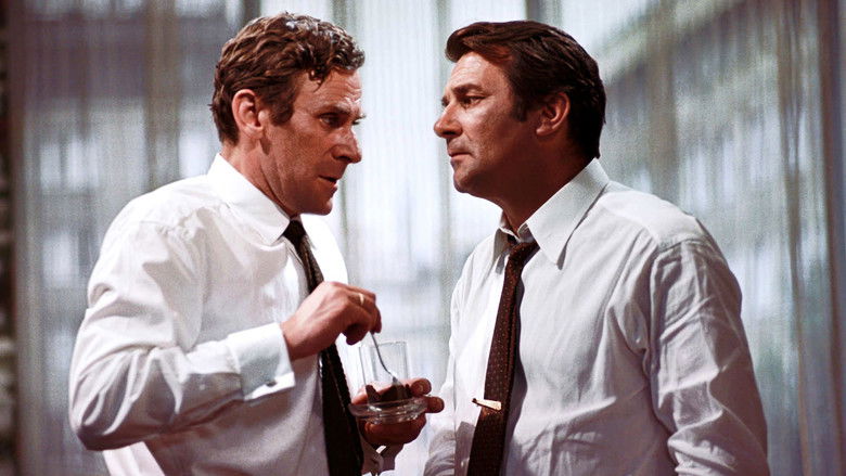 Gallery image from sQZl26UmtHPfGlVIGqZ9SP3K6lQ.jpg