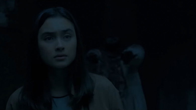 Image d'arrière-plan 12 du film Ivanna