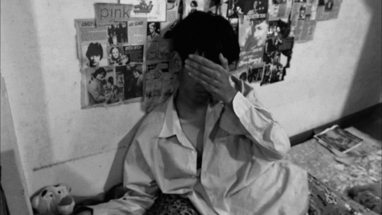 Imatge de Shady of Pink