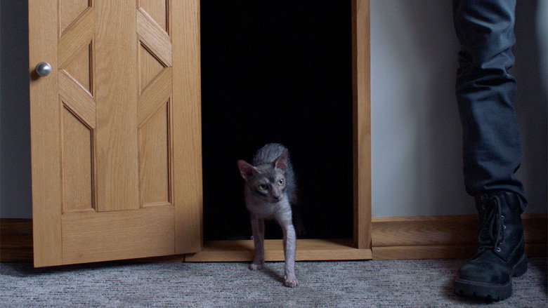 Still from Канал нула - Сезон 4 Епизод 3