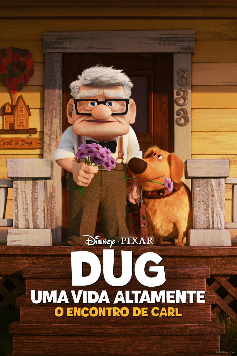 Póster la Película