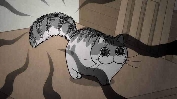 Still image for Nights with a Cat season 1 episode 26: Night 26: The Puffed Tail Is Distracting