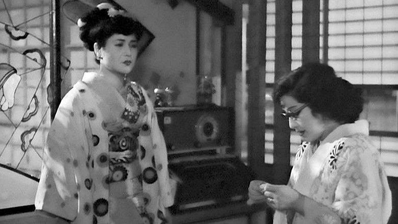 Ssthzxyiahhnd8ar3qnq0a3t7tw