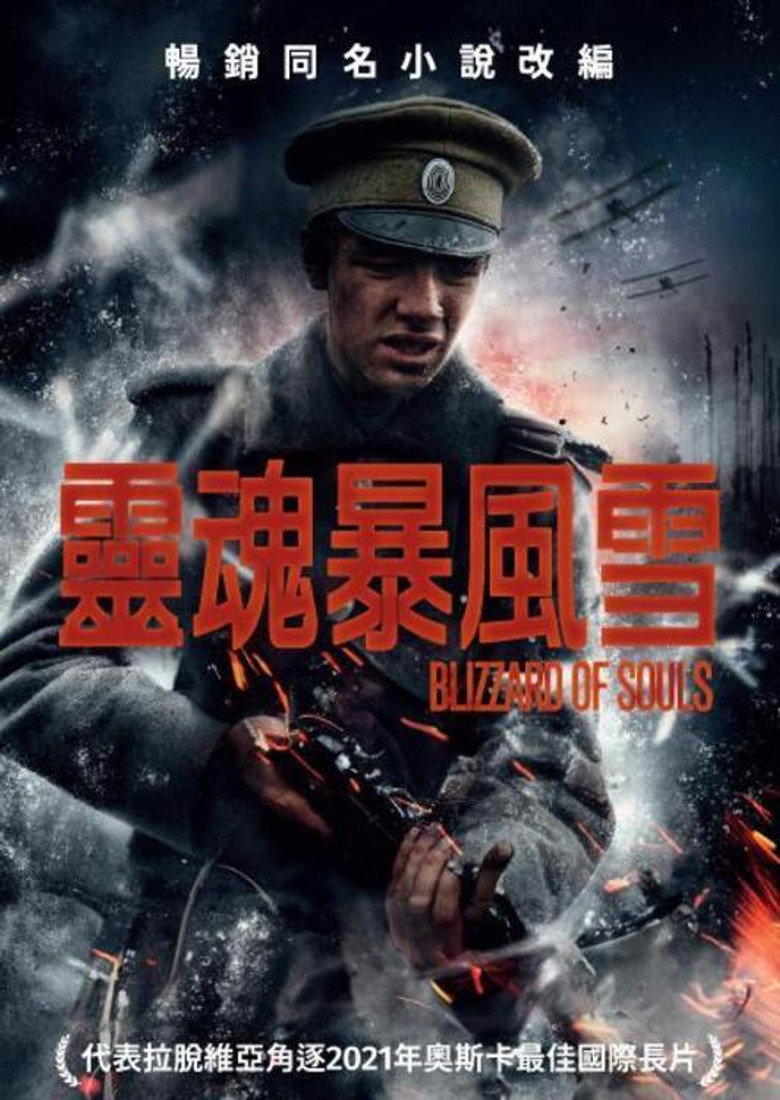 灵魂暴风雪 封面海报