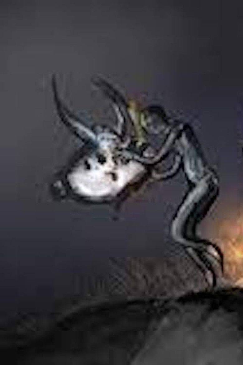 Imatge de Percorso#0008-0209