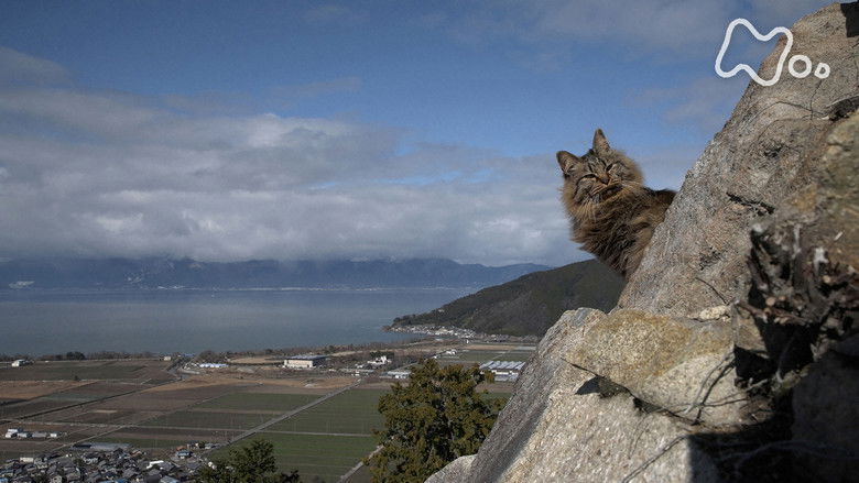Still image for Mitsuaki Iwago's World “Cats” Travelogue season 1 episode 125: Shiga Still image for Mitsuaki Iwago's World “Cats” Travelogue season 1 episode 125: Shiga