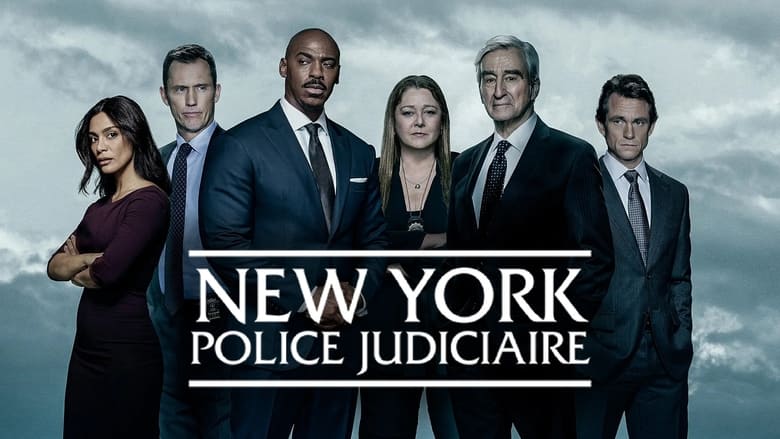 Law & Order Season 22 Episode 8 : Chain of Command