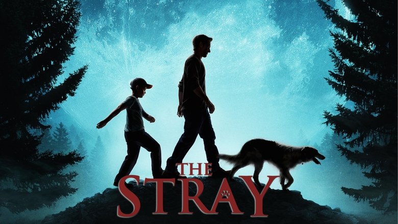 Get Free The Stray (2017) Movies 123Movies Blu-ray Without Download Stream Online