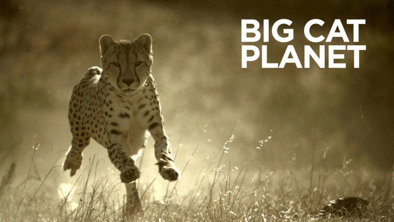 Big Cat Planet still