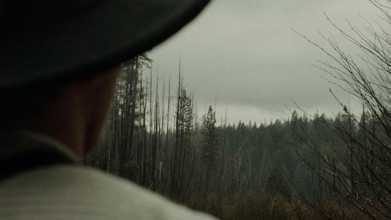 Gallery image from sU8r0vcch6VoRFufAQUfA2O8oke.jpg