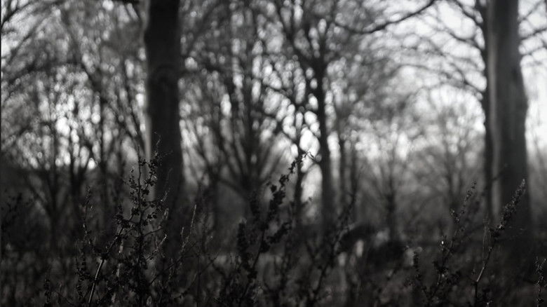 Gallery image from sU9DSeHqWxedzgnQpGr4t8XPIVU.jpg