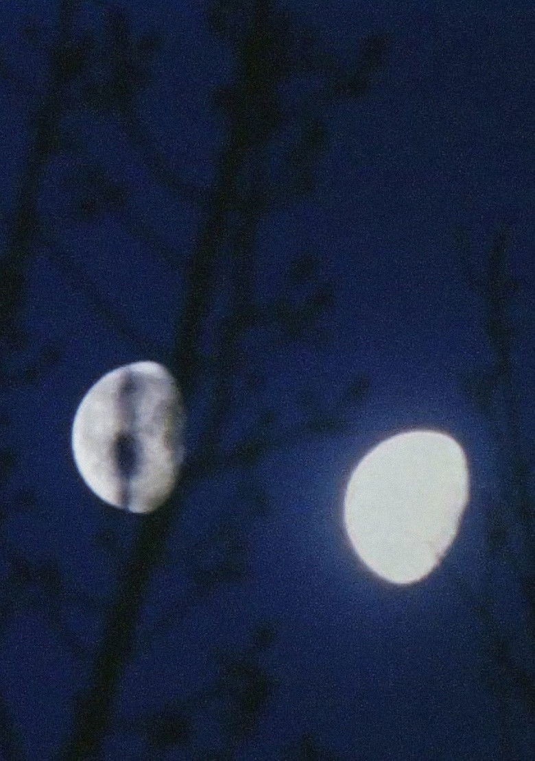 Imatge de Lunar Almanac