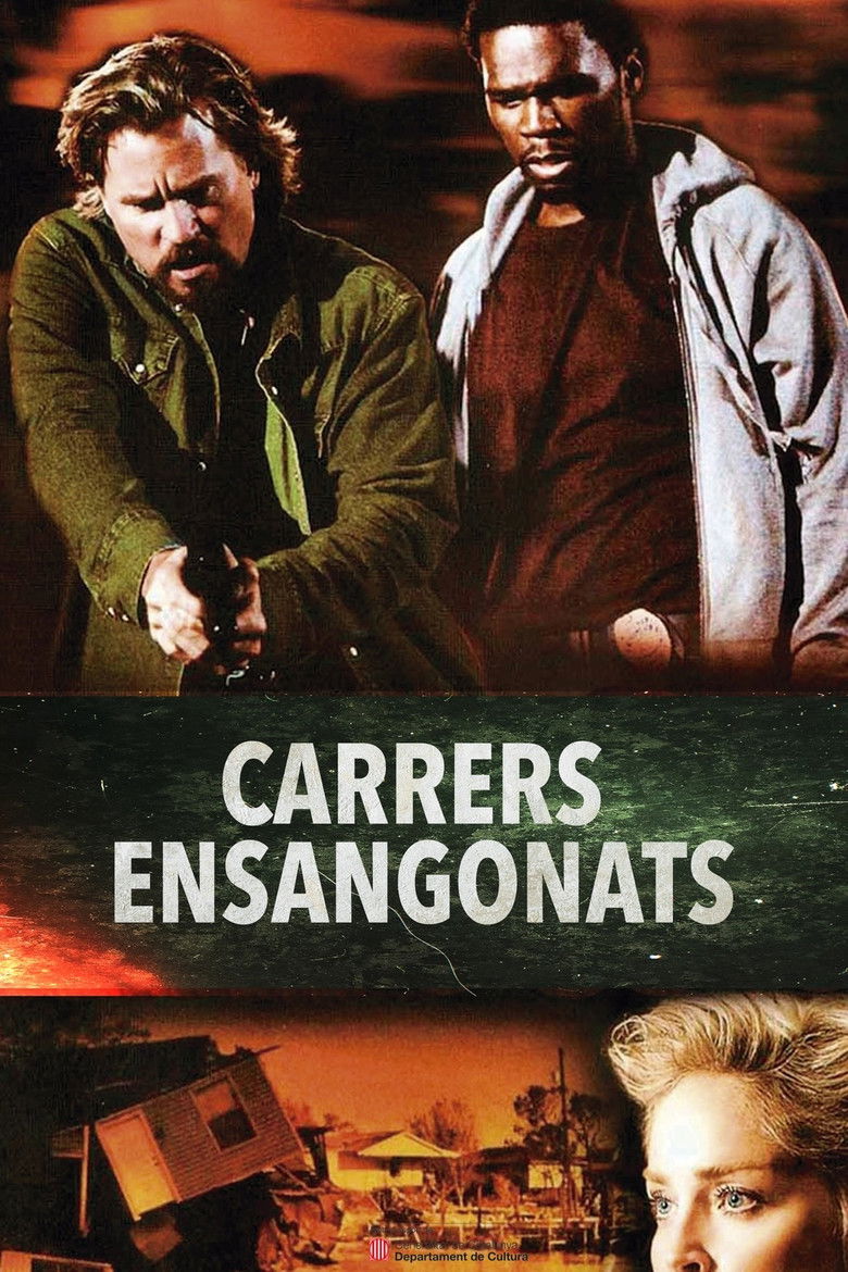 Imatge de Carrers ensangonats