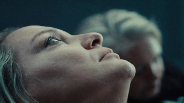 Gallery image from sUddDhFXReugSxKMKEgDQ8xDF0y.jpg