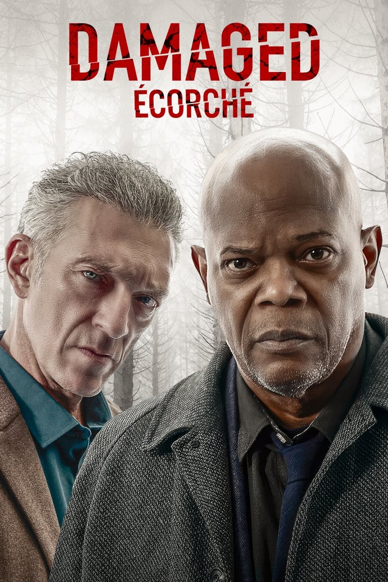 Póster la Película