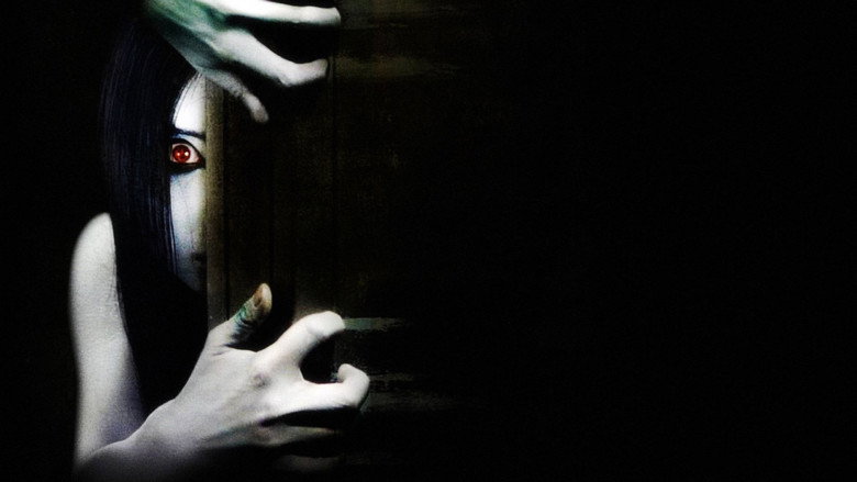 Der Fluch - The Grudge 3