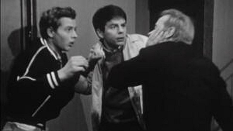 Still image for Les Sept de l'escalier 15 season 1 episode 11: Episode 11