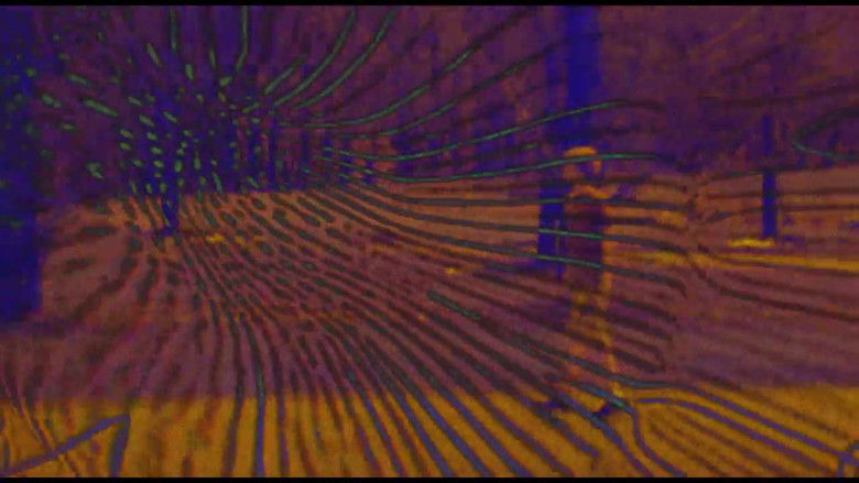 Gallery image from sWAWfwZsGkJqErcMfbfr5xLU99O.jpg