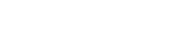 Person of Interest