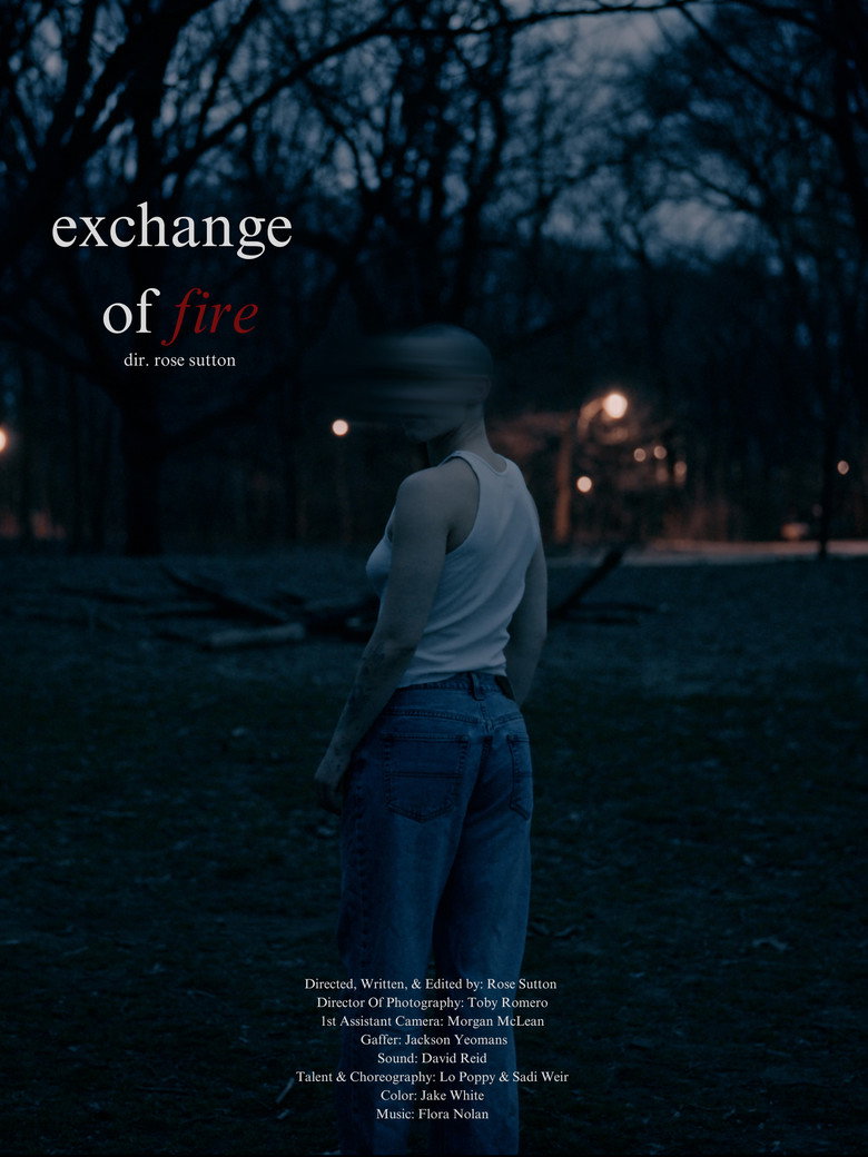 Imatge de Exchange of Fire