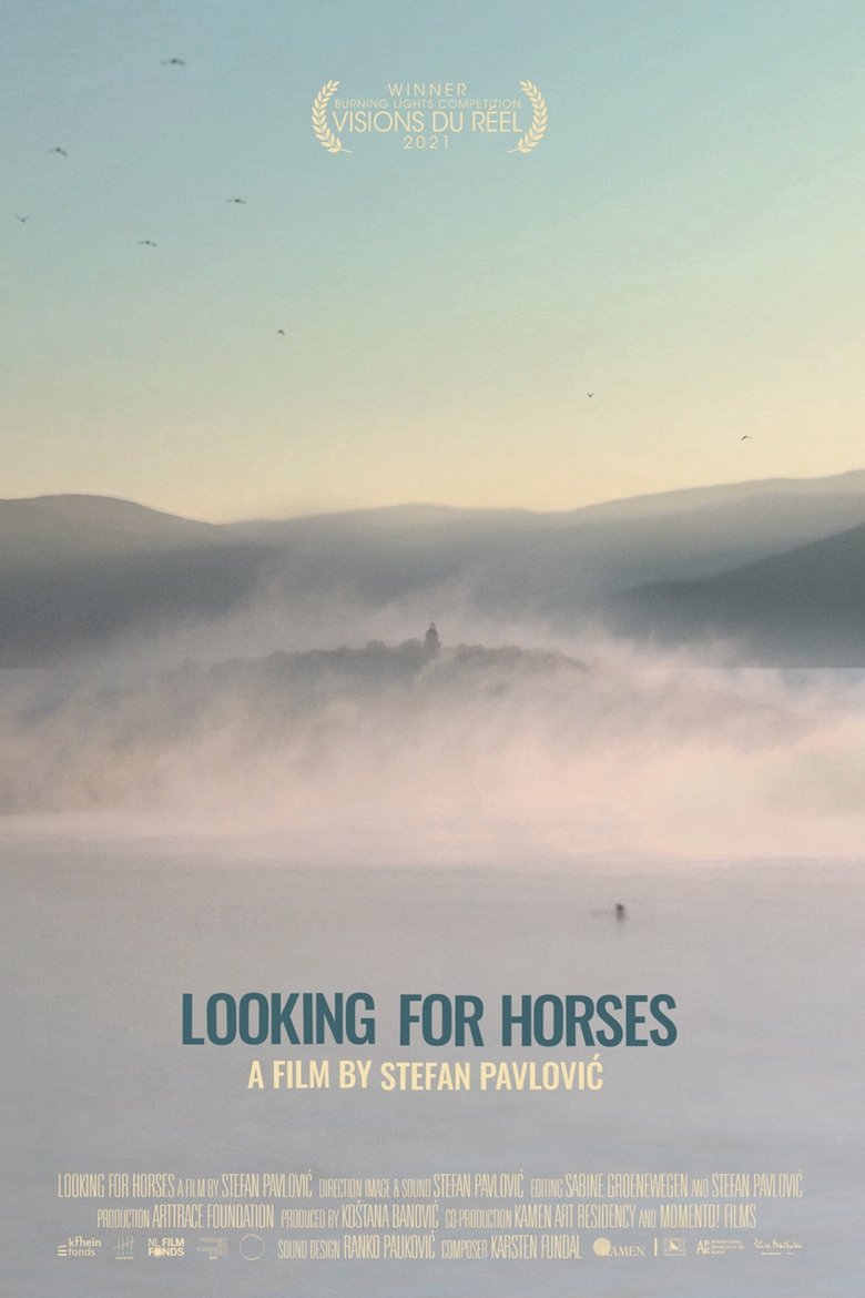 Looking for Horses main poster