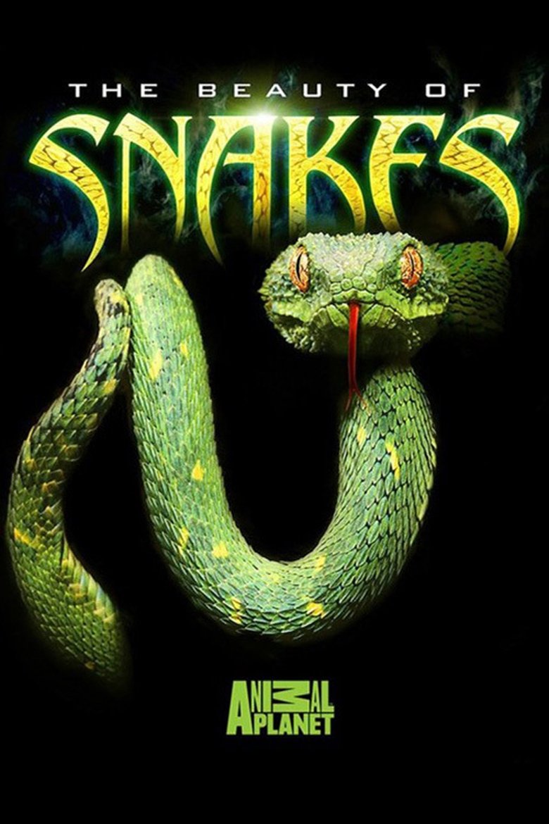 The Beauty of Snakes main poster