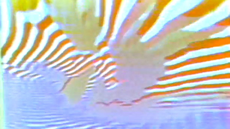 Imatge de Feedback Stroboscopy