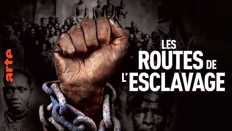 Gallery image from sY3zN53baDNAIpSuahwaPnR89ZL.jpg