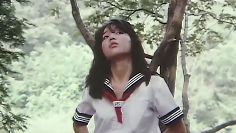 Imatge de 連続暴姦